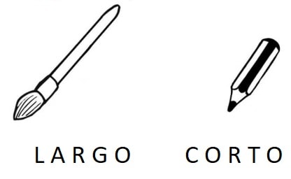 explicacion conceptos largo y corto