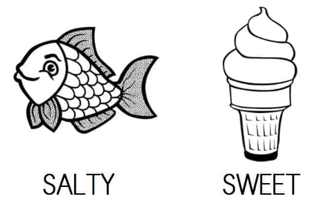 SWEET - SALTY